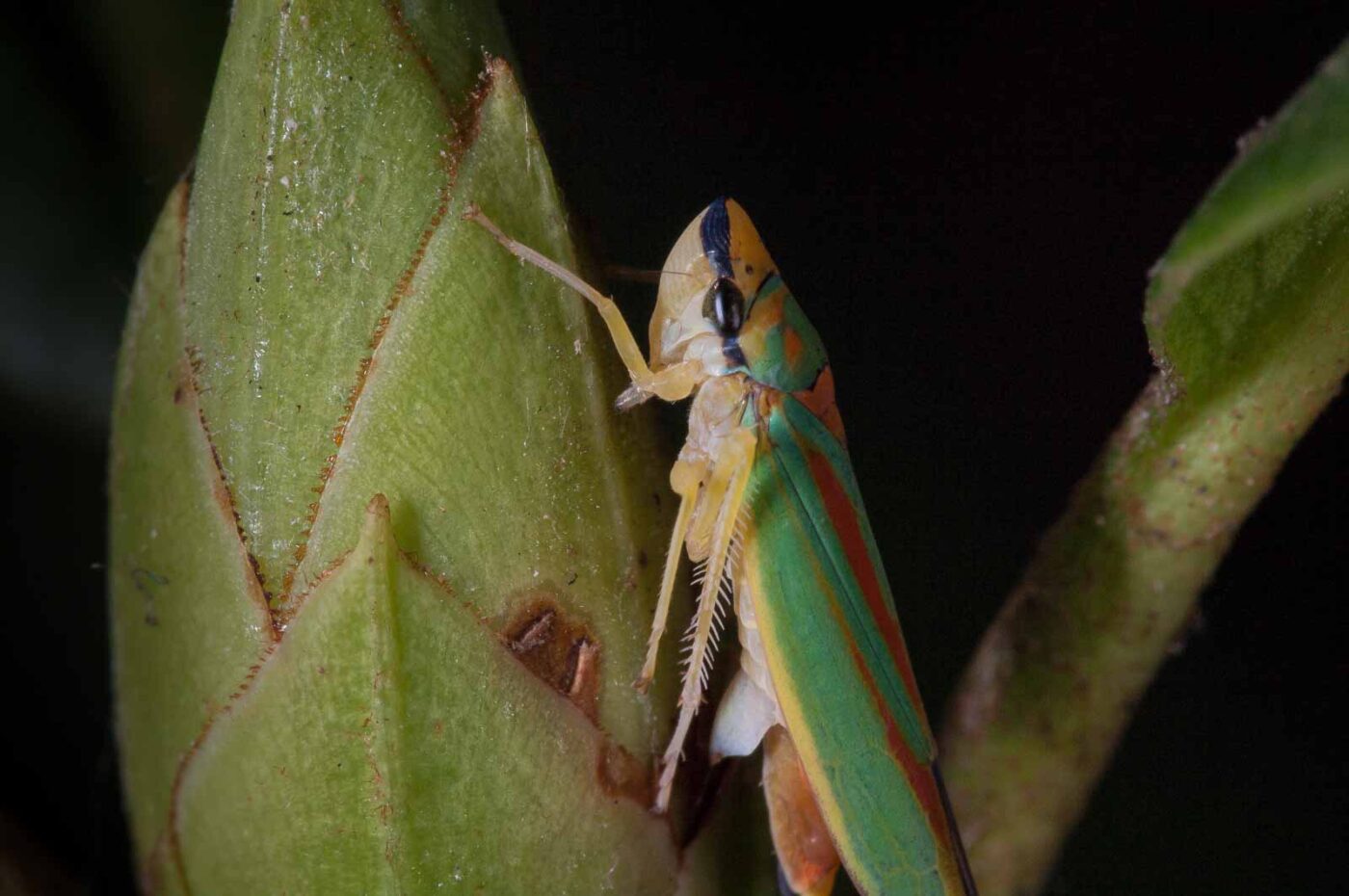 2018-08-28 - EmscherValleyWay Recklinghausen