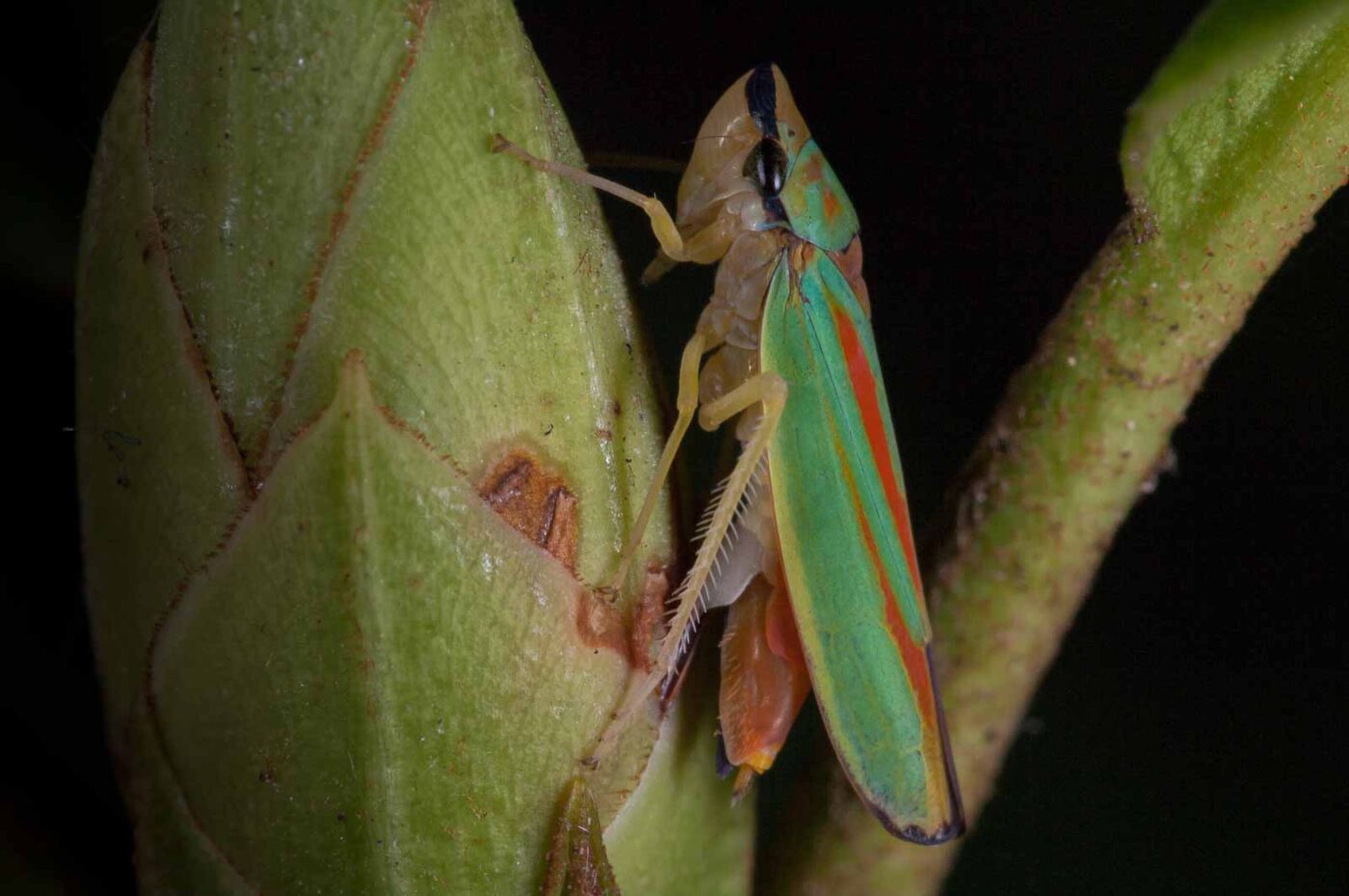 2018-08-28 - EmscherValleyWay Recklinghausen