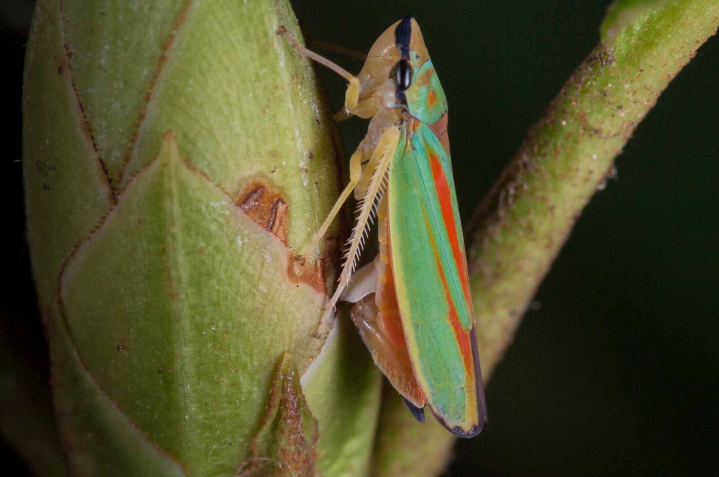 2018-08-28 - EmscherValleyWay Recklinghausen