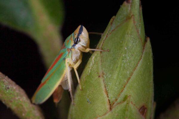 2018-08-28 - EmscherValleyWay Recklinghausen