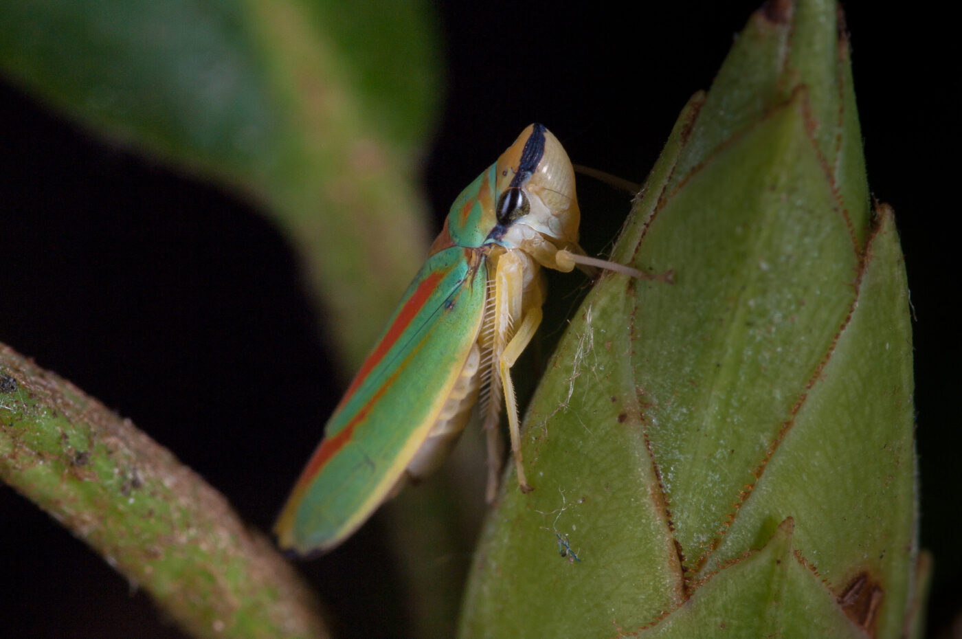 2018-08-28 - EmscherValleyWay Recklinghausen