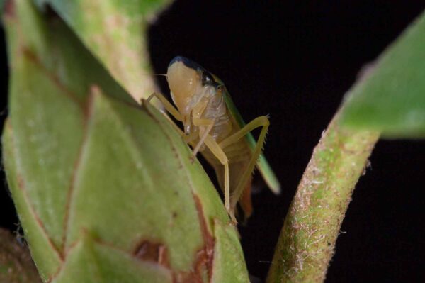 2018-08-28 - EmscherValleyWay Recklinghausen