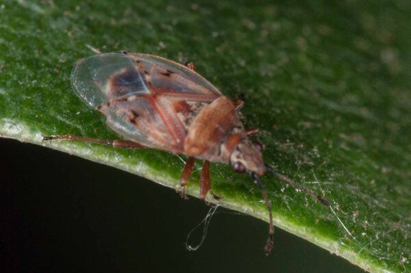 2018-08-28 - EmscherValleyWay Recklinghausen