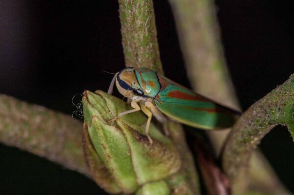 2018-08-28 - EmscherValleyWay Recklinghausen