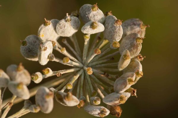 2018-08-28 - EmscherValleyWay Recklinghausen