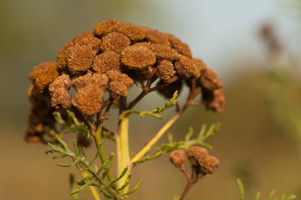 2018-08-28 - EmscherValleyWay Recklinghausen