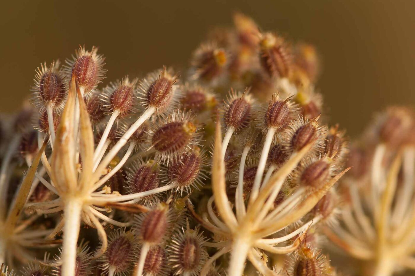 2018-08-28 - EmscherValleyWay Recklinghausen