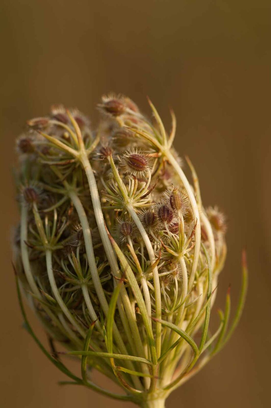 2018-08-28 - EmscherValleyWay Recklinghausen