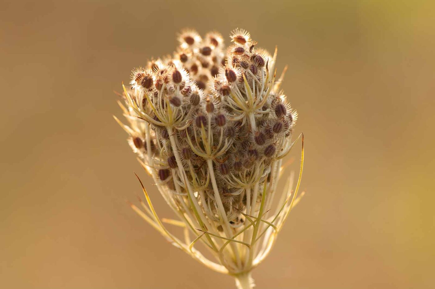 2018-08-28 - EmscherValleyWay Recklinghausen