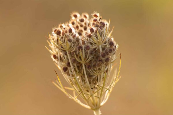 2018-08-28 - EmscherValleyWay Recklinghausen