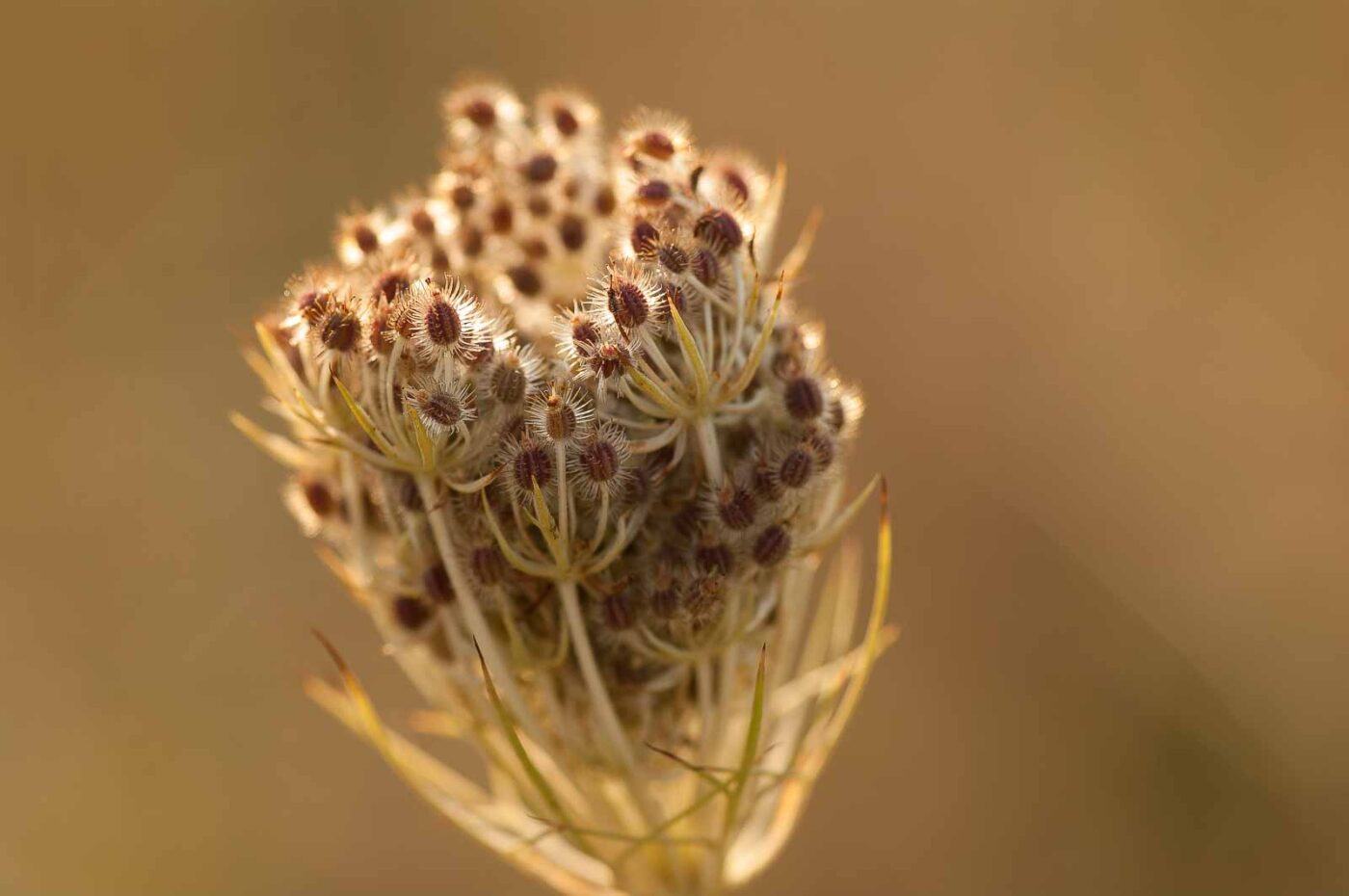 2018-08-28 - EmscherValleyWay Recklinghausen