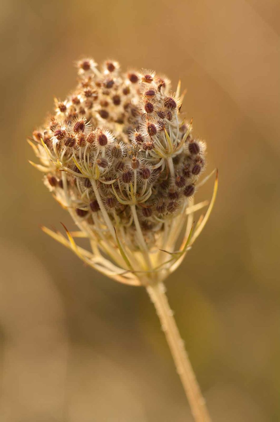 2018-08-28 - EmscherValleyWay Recklinghausen