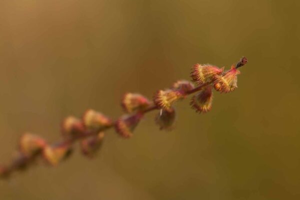 2018-08-28 - EmscherValleyWay Recklinghausen