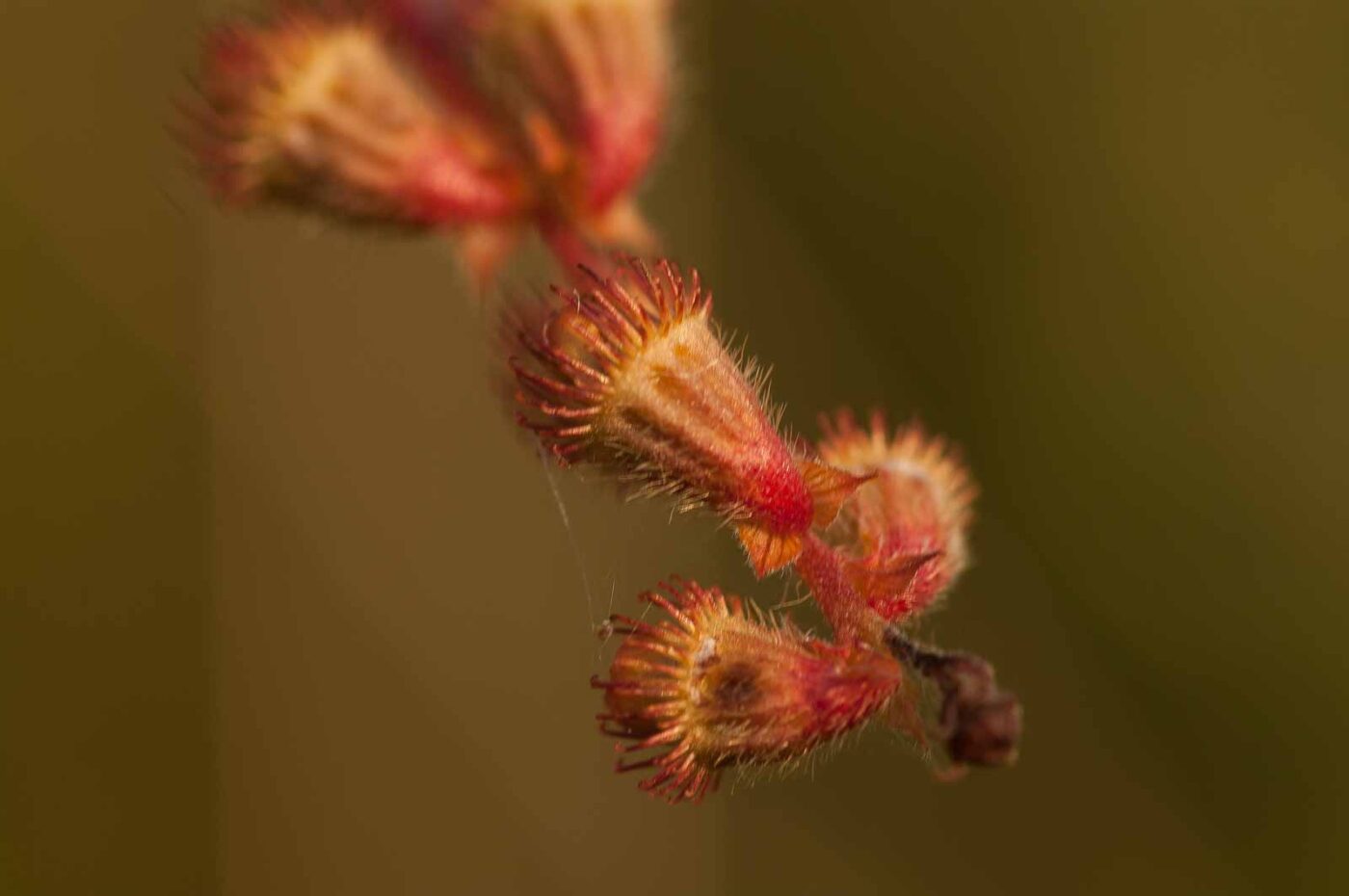 2018-08-28 - EmscherValleyWay Recklinghausen