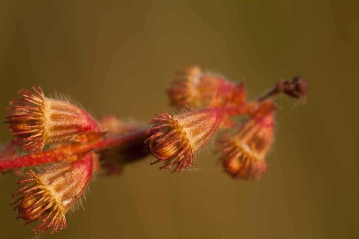 2018-08-28 - EmscherValleyWay Recklinghausen