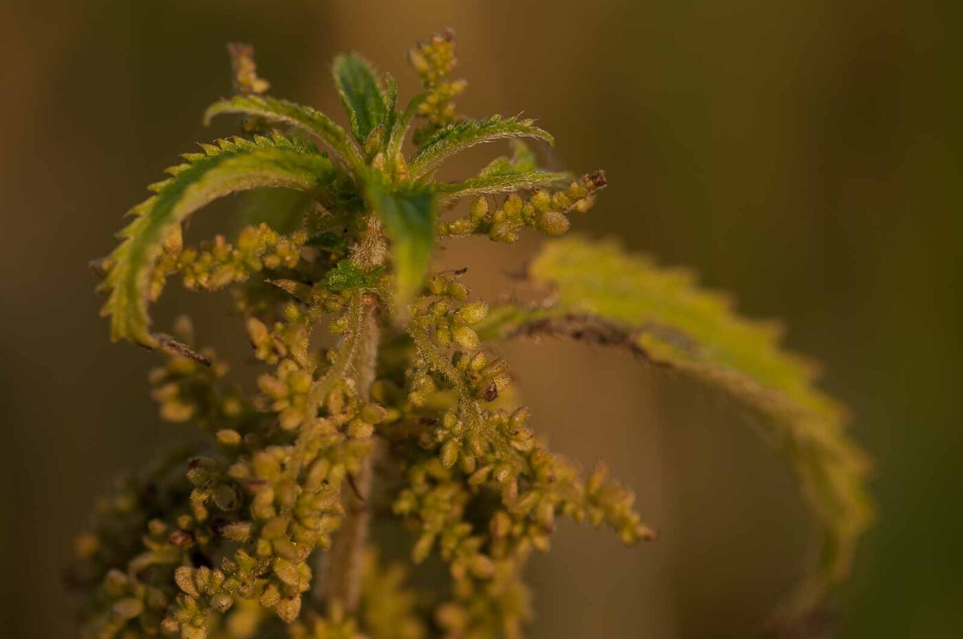 2018-08-28 - EmscherValleyWay Recklinghausen