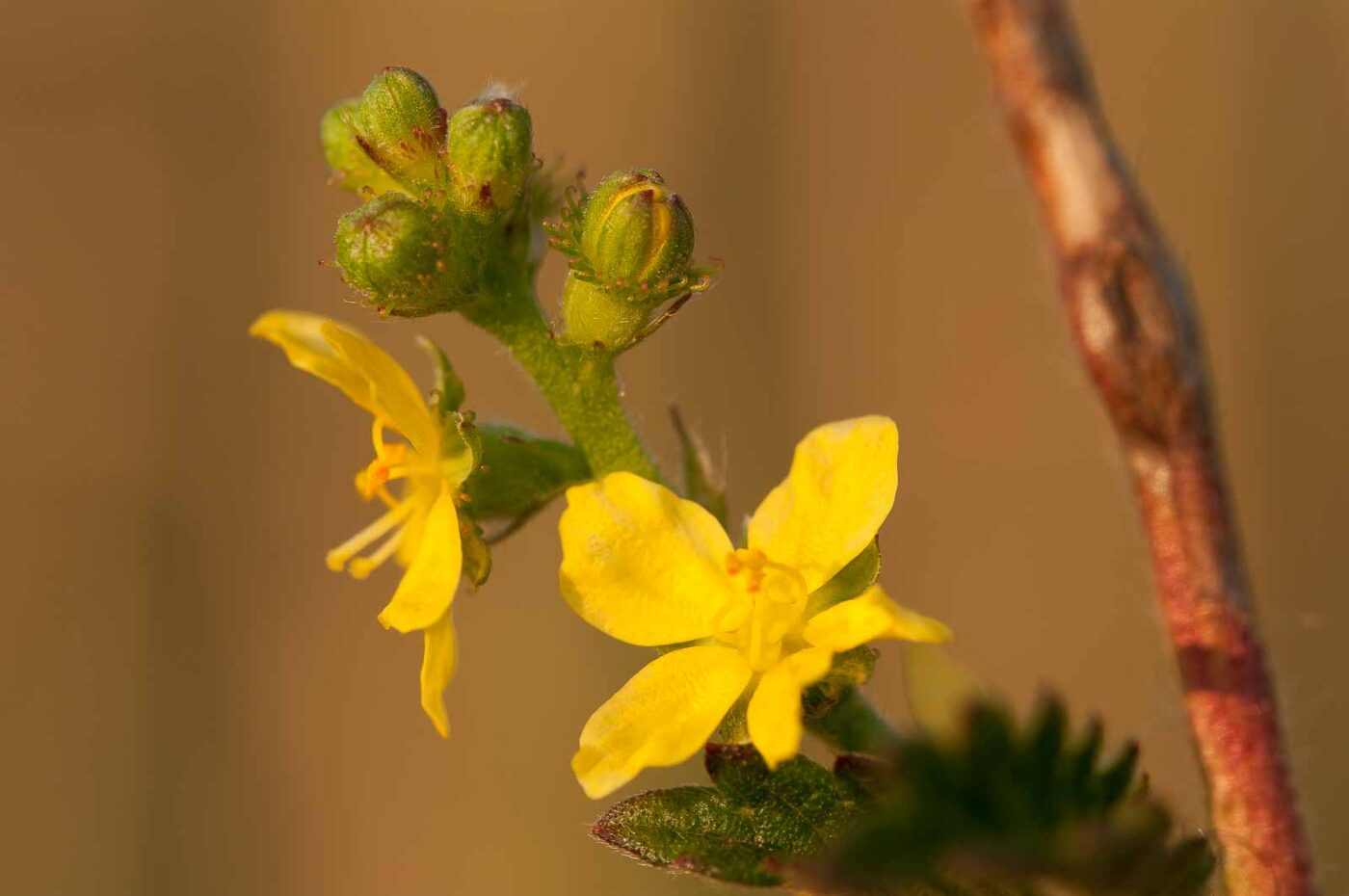 2018-08-28 - EmscherValleyWay Recklinghausen