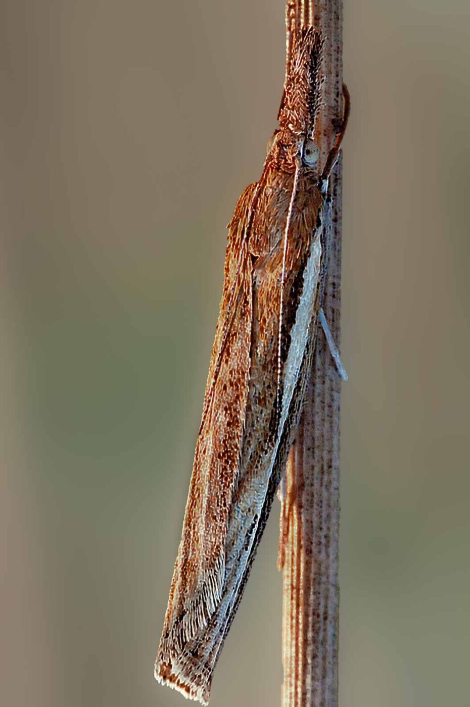 2018-08-28 - EmscherValleyWay Recklinghausen