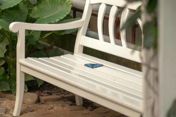 2018-09-17 - Garten der Schmetterlinge Bendorf-Sayn