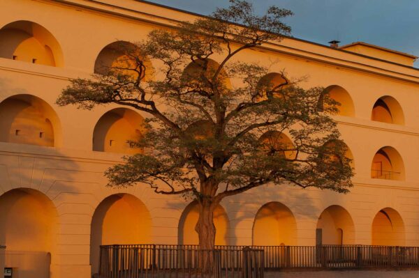 2018-09-17 - Festung Ehrenbreitstein Koblenz