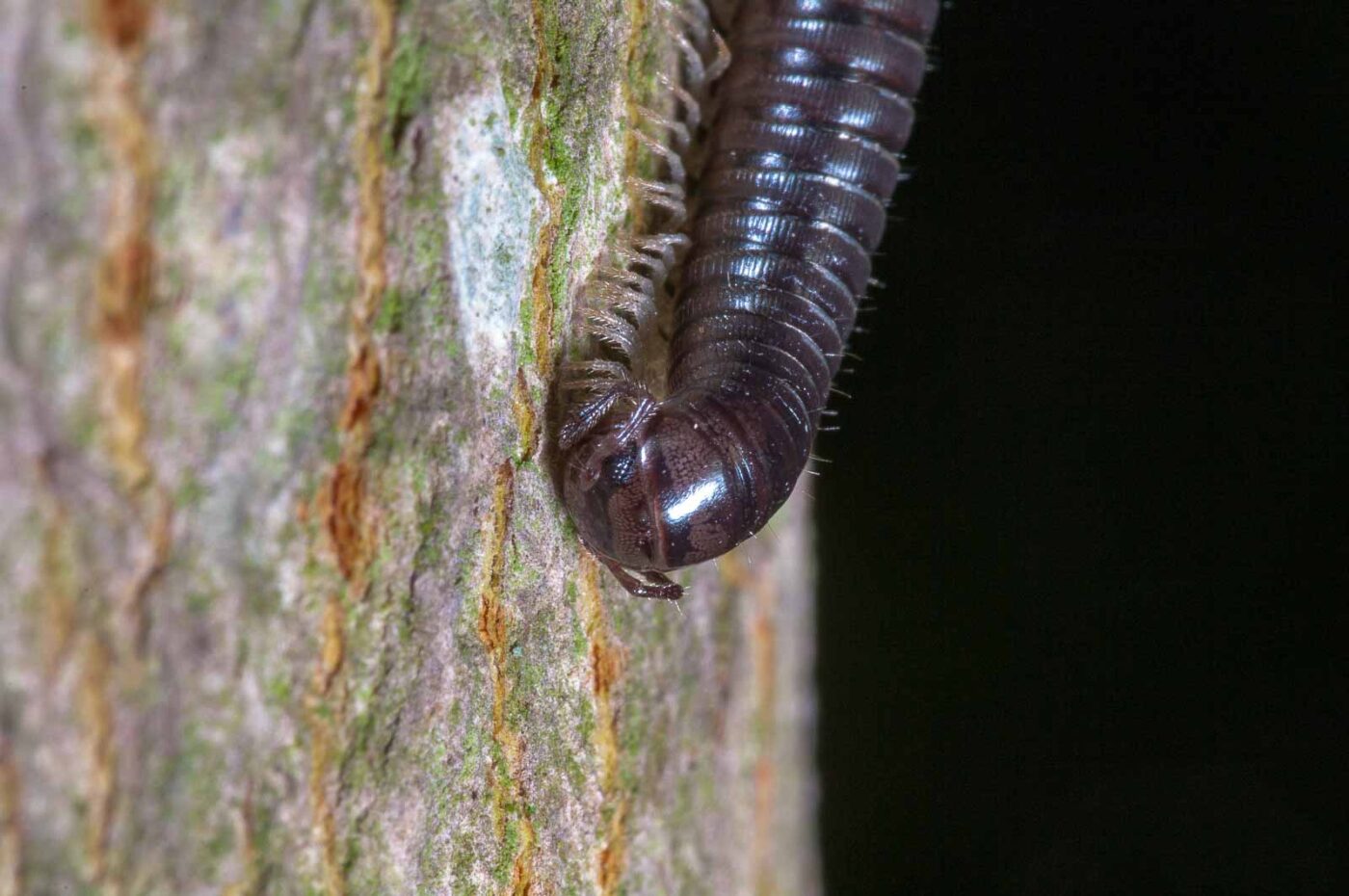 2018-09-27 - NSG Bergehalde Unser-Fritz