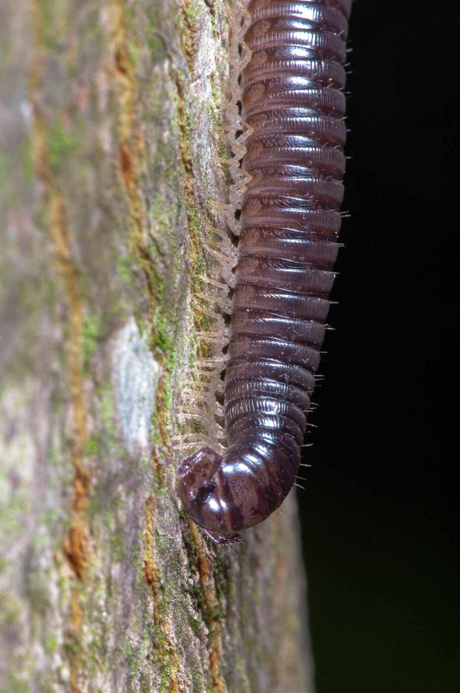 2018-09-27 - NSG Bergehalde Unser-Fritz