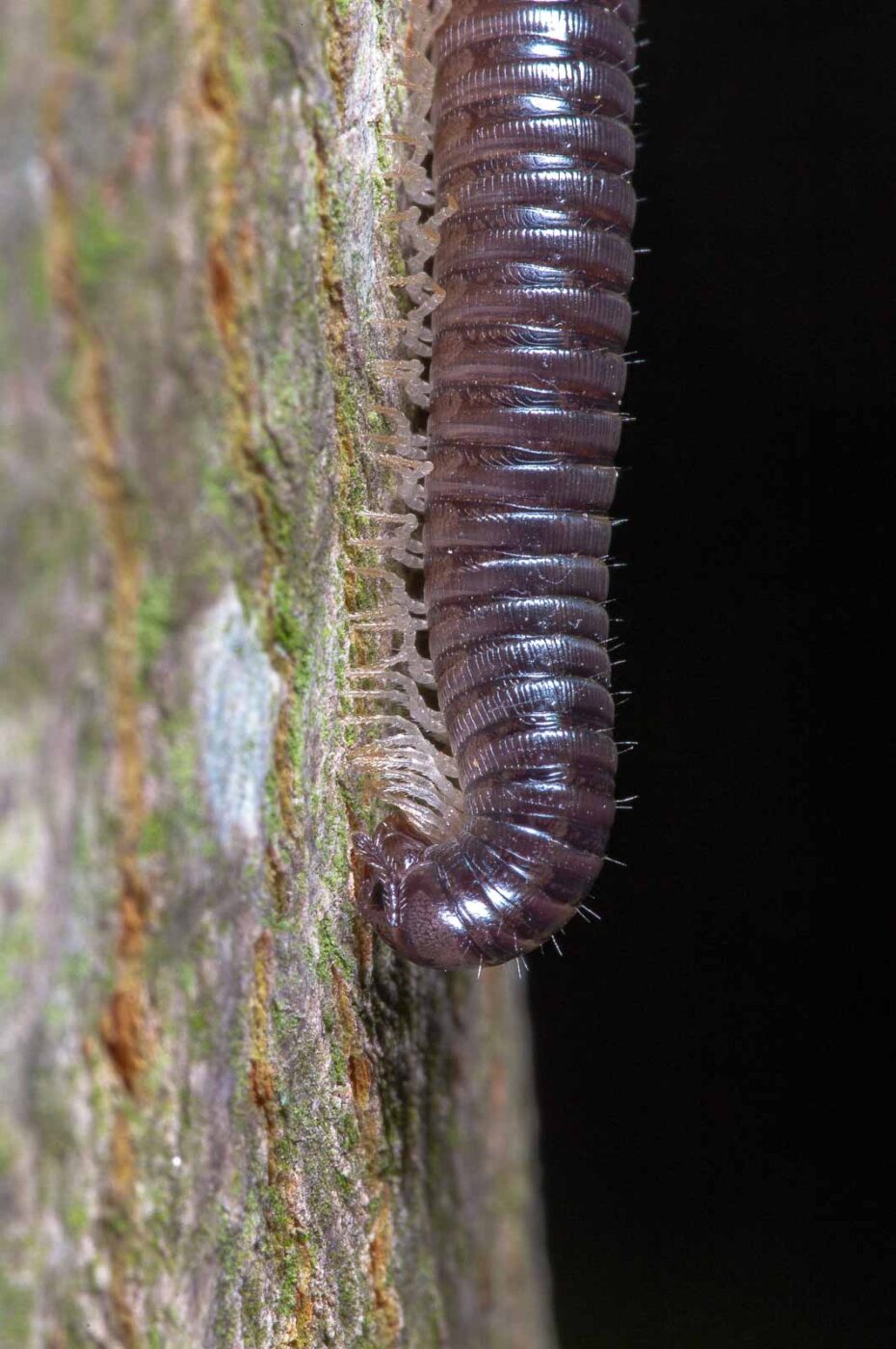 2018-09-27 - NSG Bergehalde Unser-Fritz