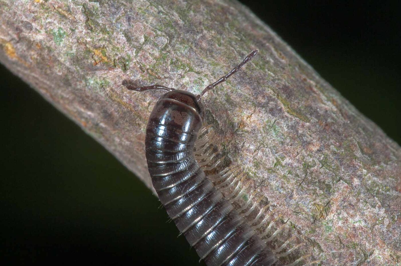 2018-09-27 - NSG Bergehalde Unser-Fritz