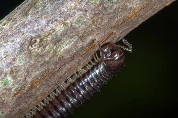 2018-09-27 - NSG Bergehalde Unser-Fritz