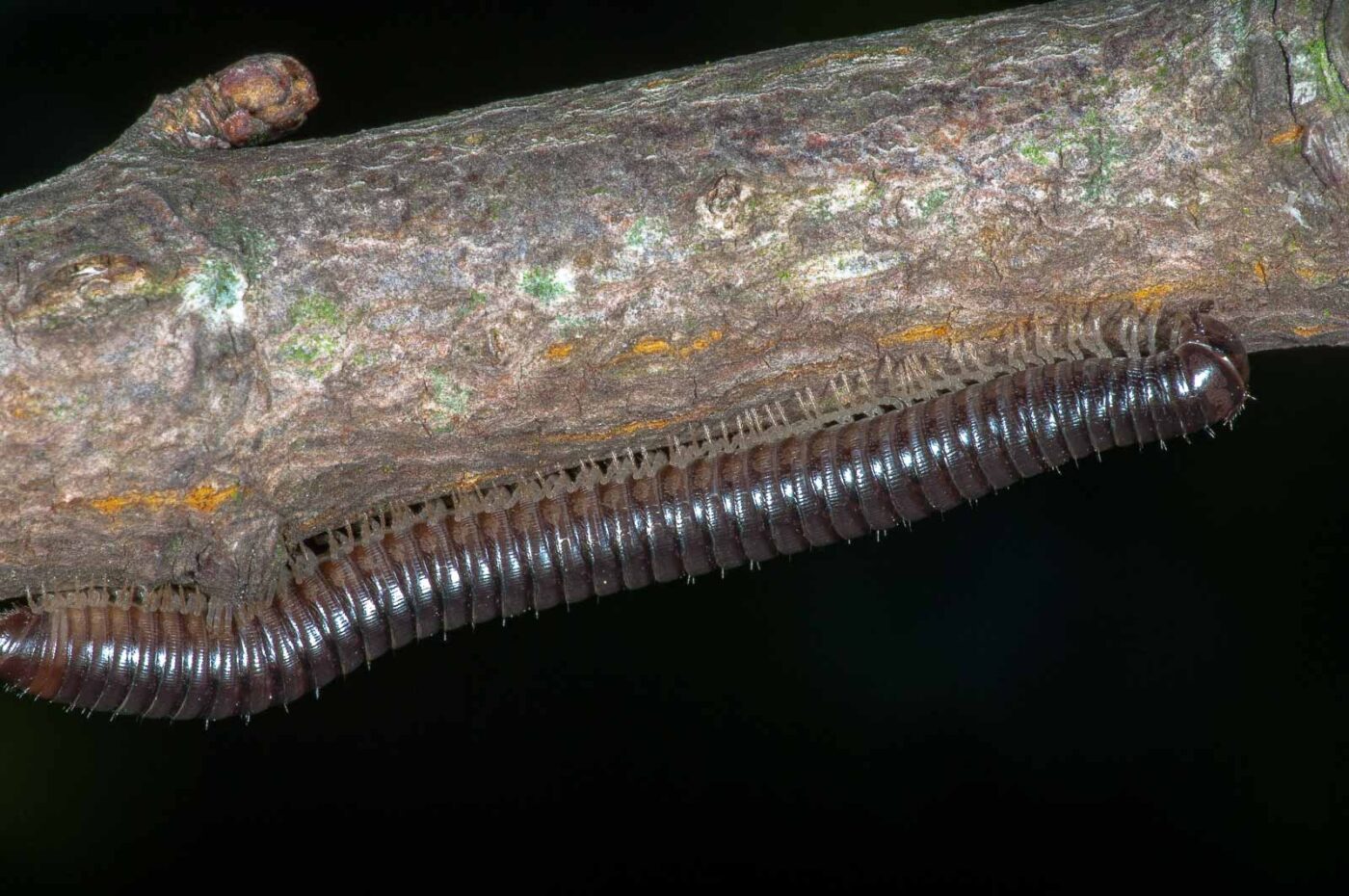 2018-09-27 - NSG Bergehalde Unser-Fritz