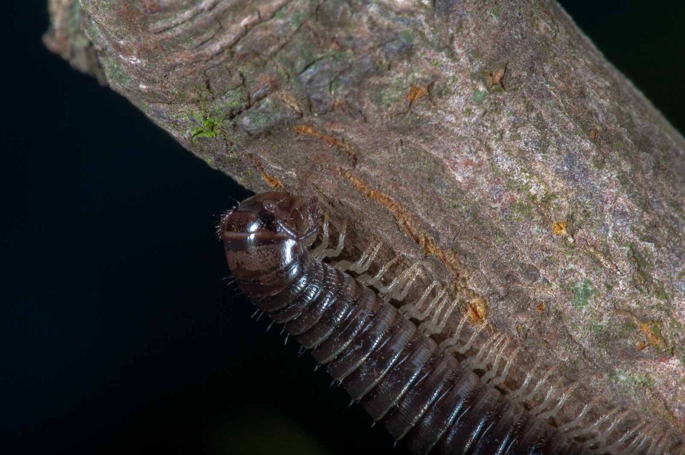 2018-09-27 - NSG Bergehalde Unser-Fritz