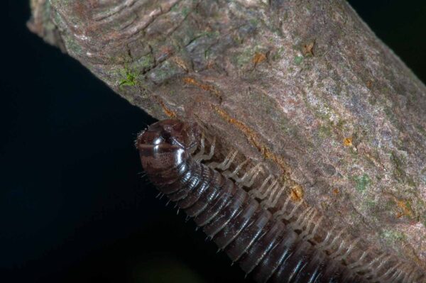 2018-09-27 - NSG Bergehalde Unser-Fritz