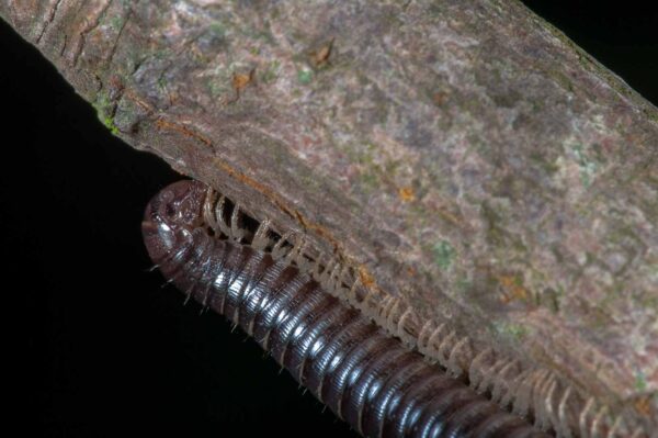 2018-09-27 - NSG Bergehalde Unser-Fritz