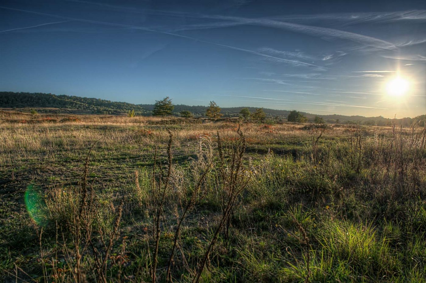2018-10-05 - NSG Borkenberge Haltern