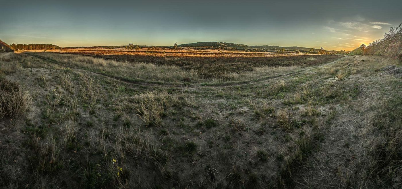 2018-10-05 - NSG Borkenberge Haltern
