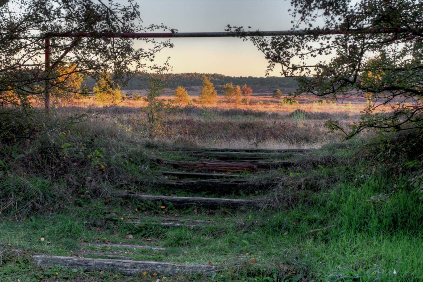 2018-10-05 - NSG Borkenberge Haltern