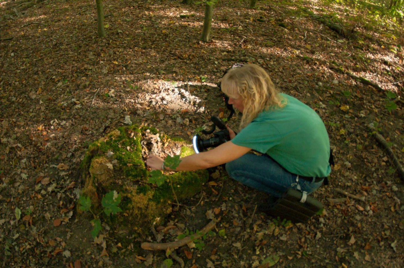 2018-10-13 - NSG Oberes Oelbachtal Bochum