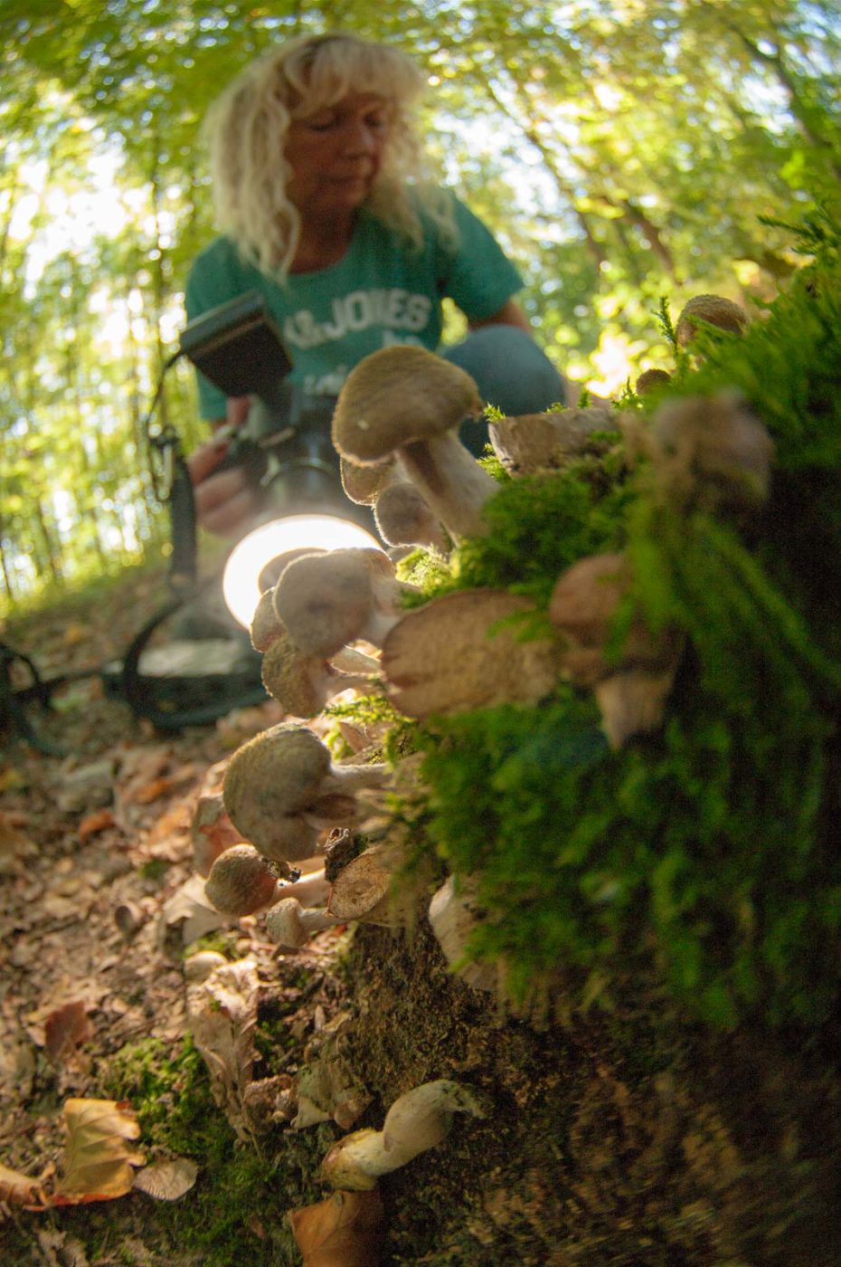 2018-10-13 - NSG Oberes Oelbachtal Bochum