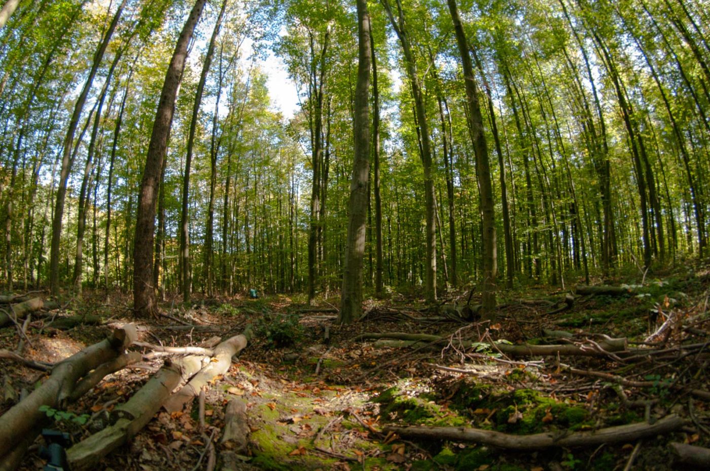 2018-10-13 - NSG Oberes Oelbachtal Bochum