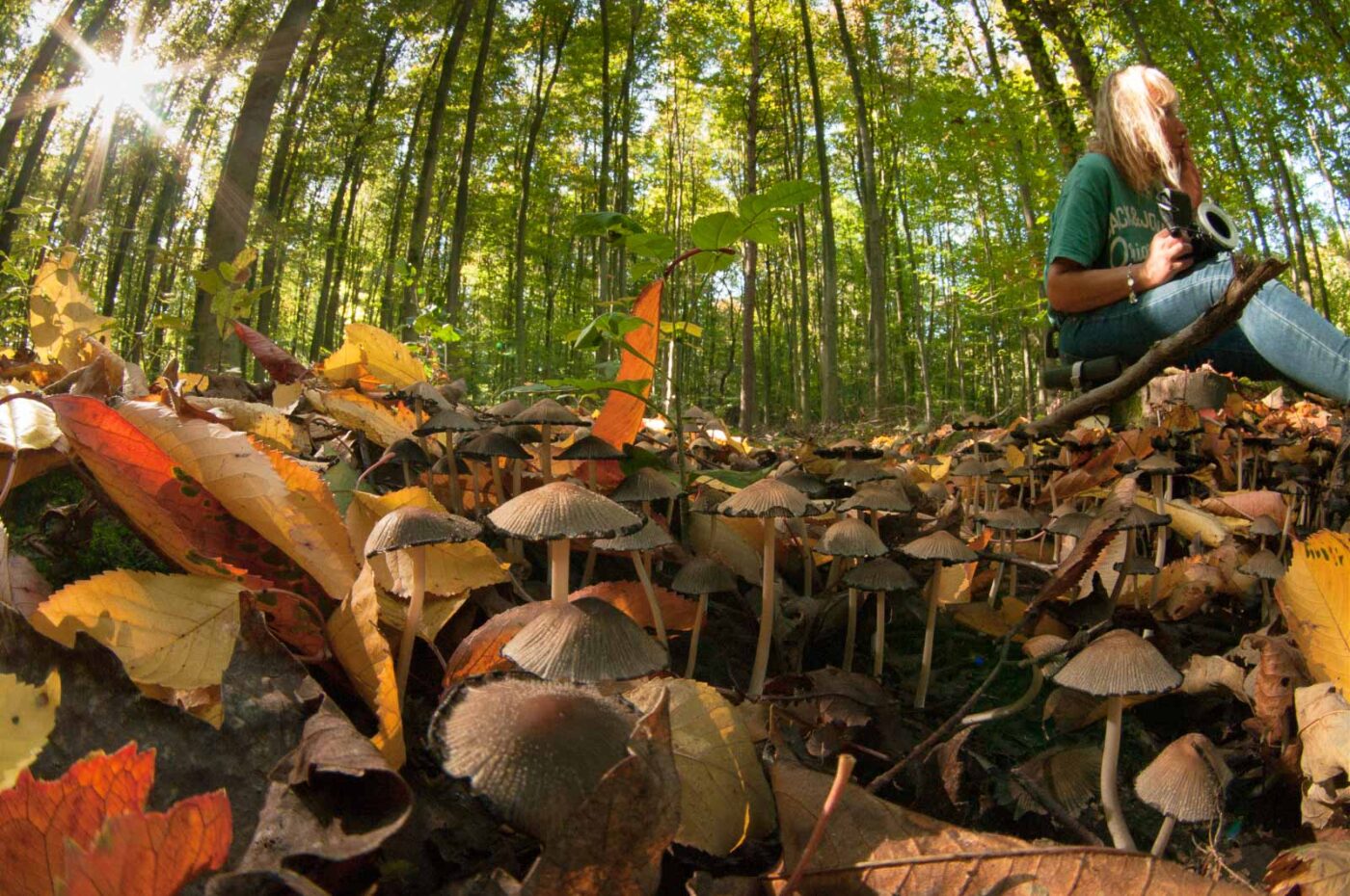 2018-10-13 - NSG Oberes Oelbachtal Bochum