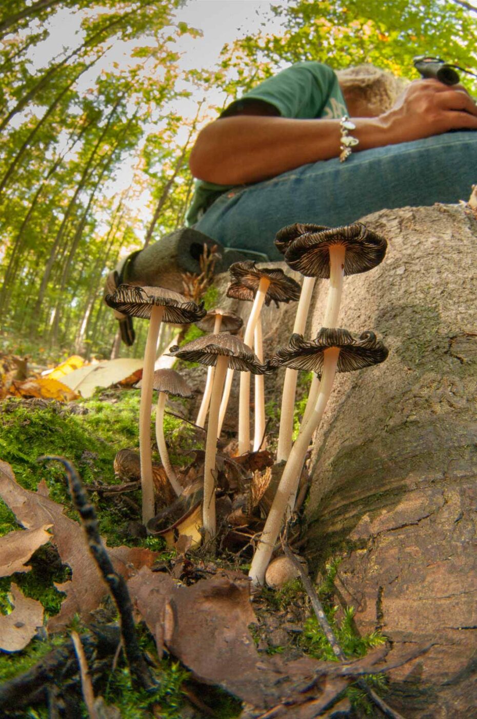 2018-10-13 - NSG Oberes Oelbachtal Bochum