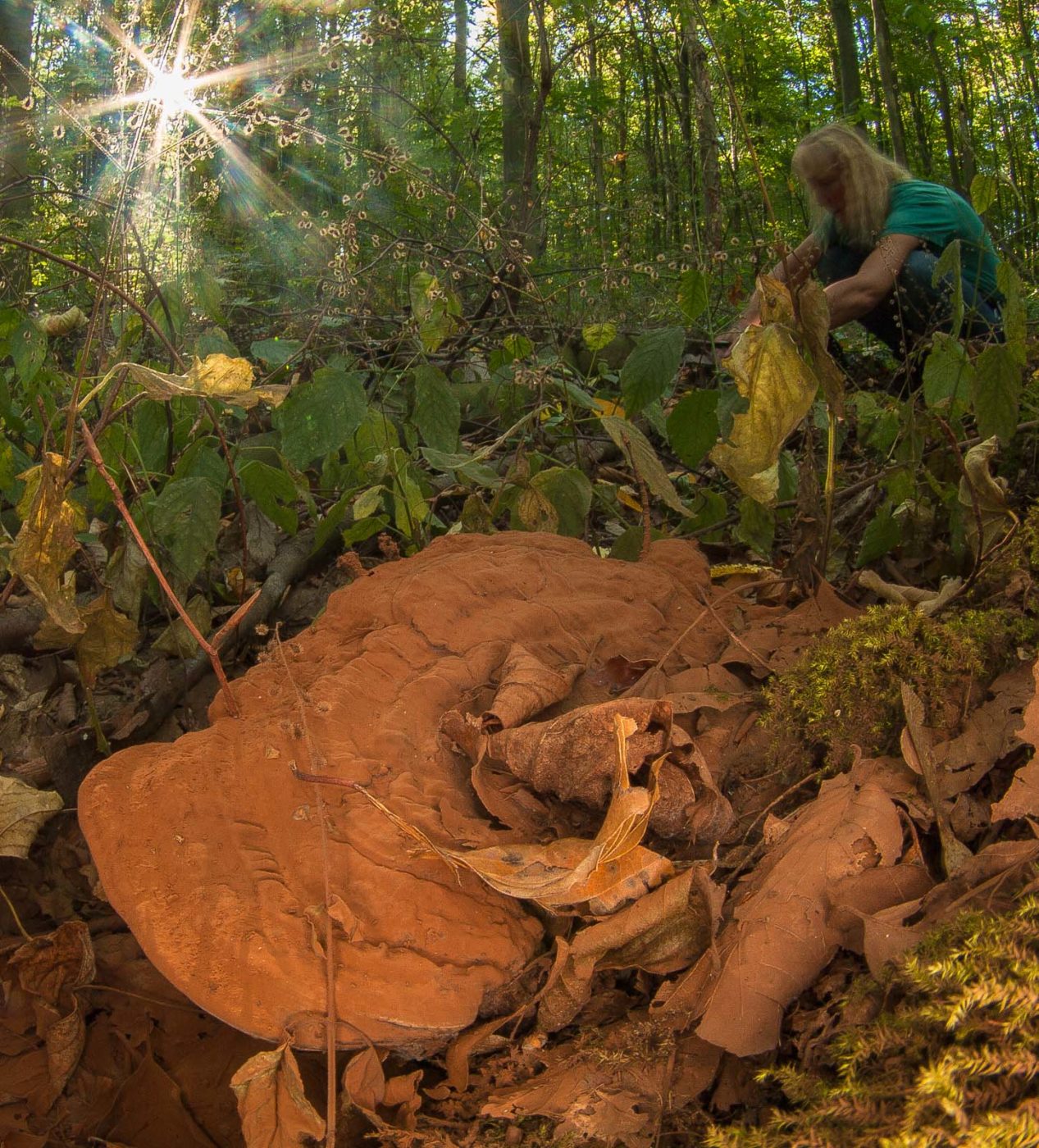2018-10-13 - NSG Oberes Oelbachtal Bochum