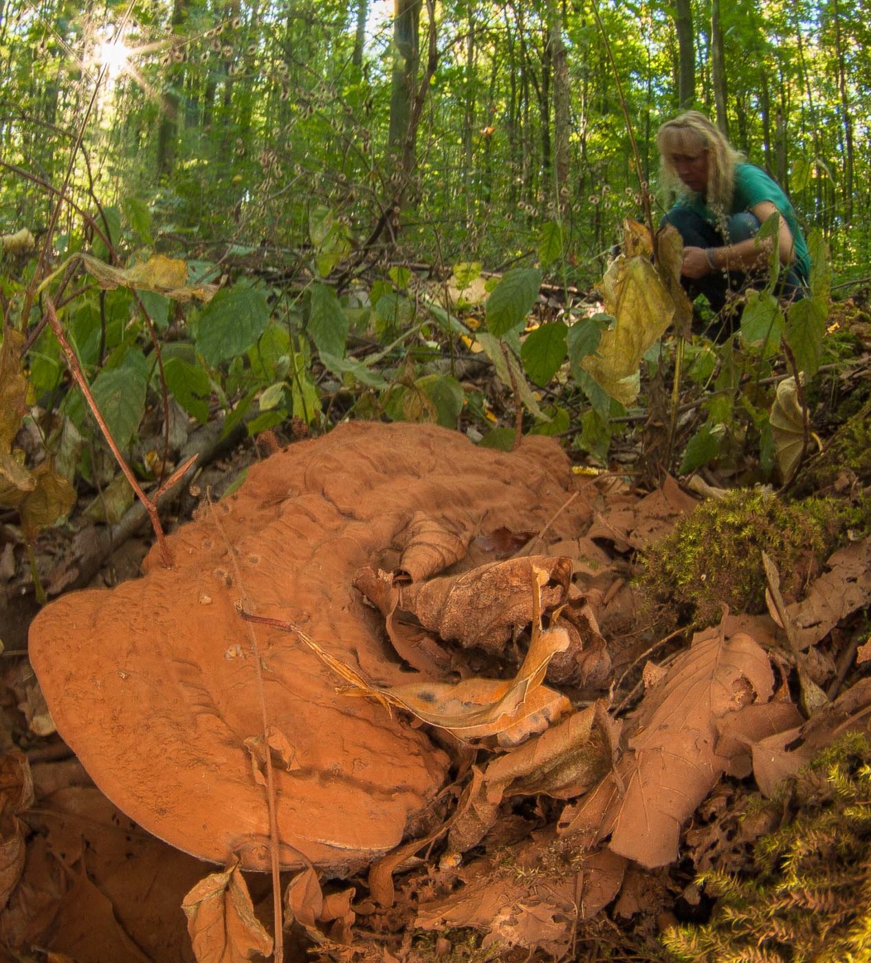 2018-10-13 - NSG Oberes Oelbachtal Bochum