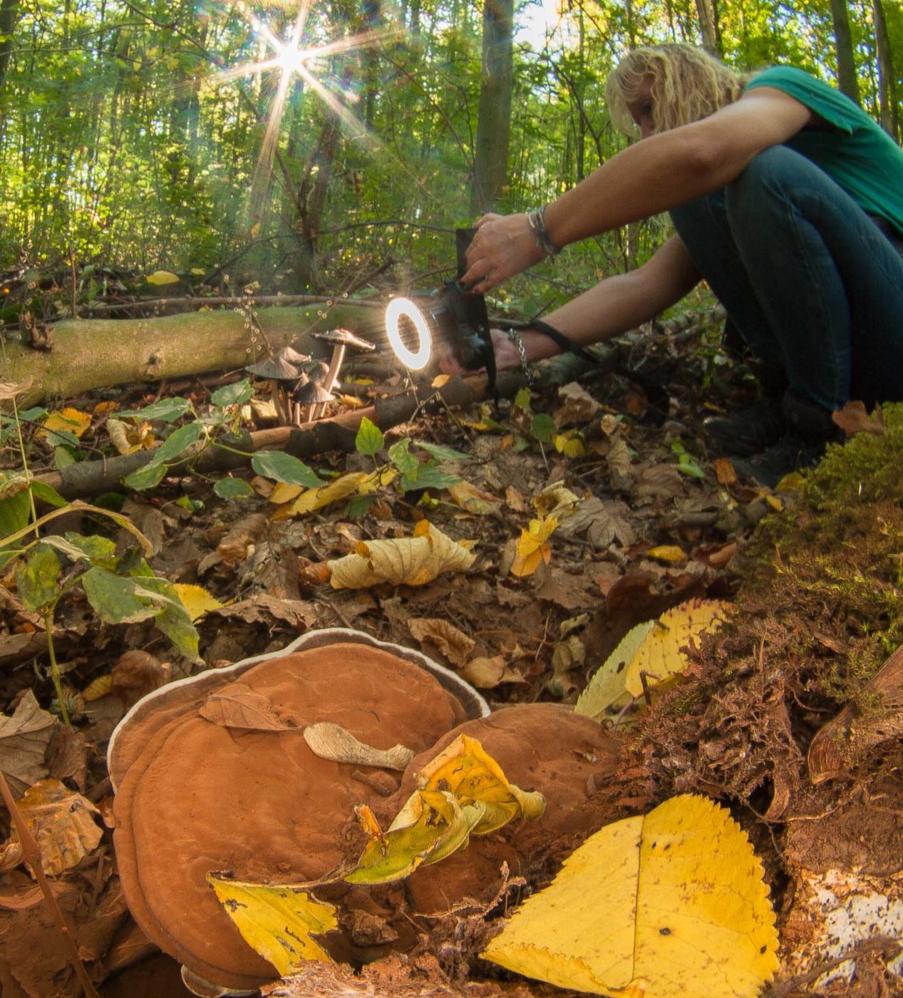 2018-10-13 - NSG Oberes Oelbachtal Bochum