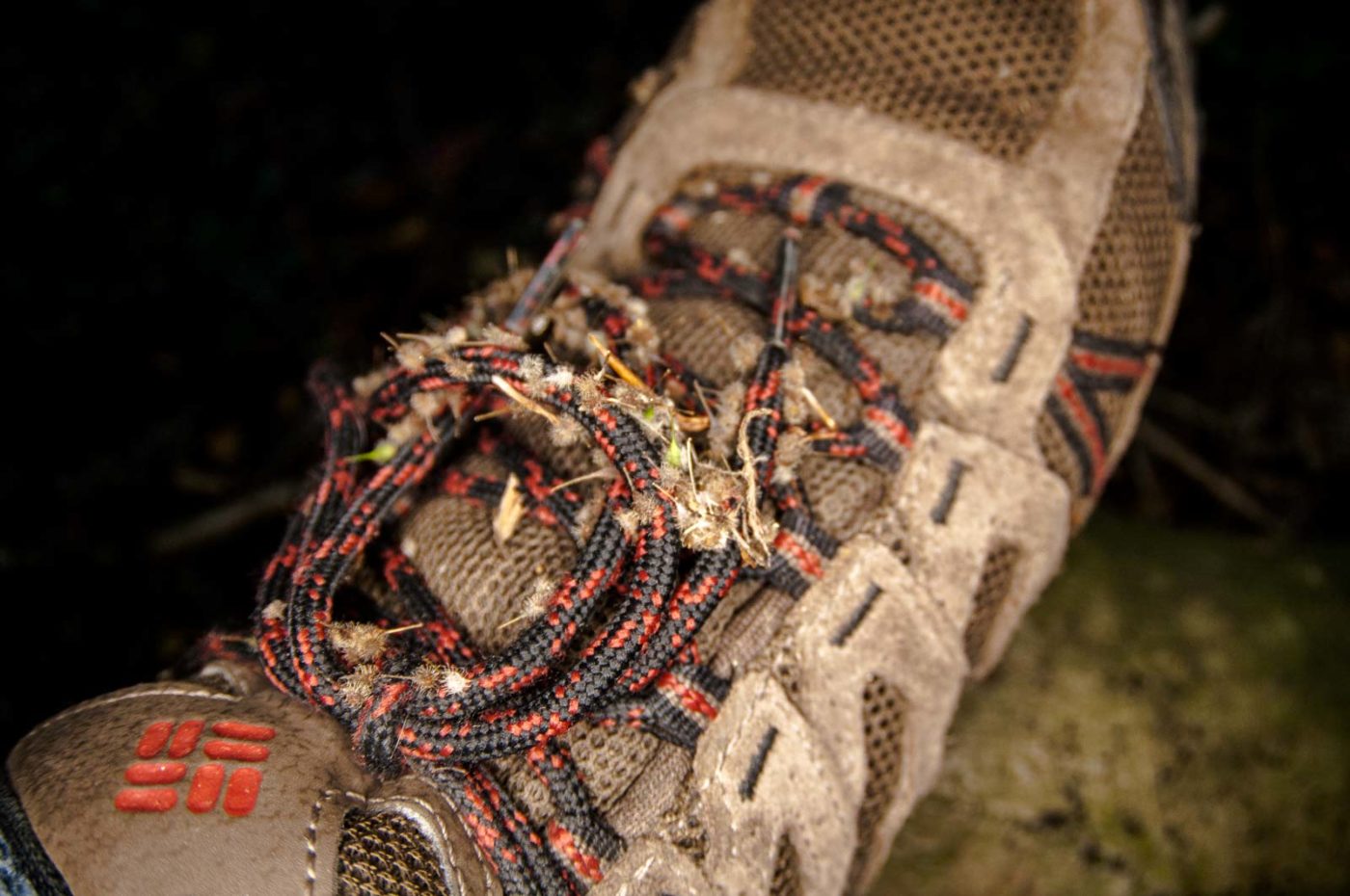 2018-10-13 - NSG Oberes Oelbachtal Bochum