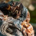 2018-10-14 - NSG Vossnacken Herne
