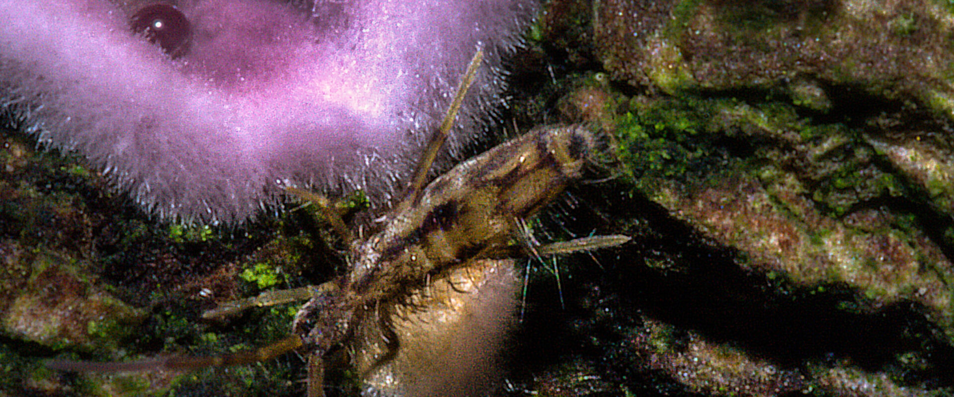 2018-11-01 – NSG Klöppersberg Castrop-Rauxel