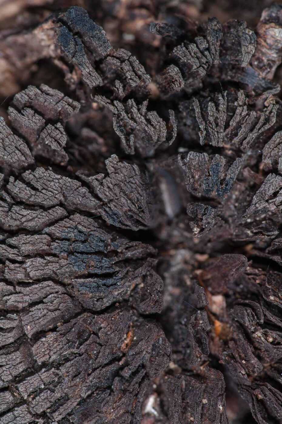 2018-11-05 - EmscherValleyWay Recklinghausen