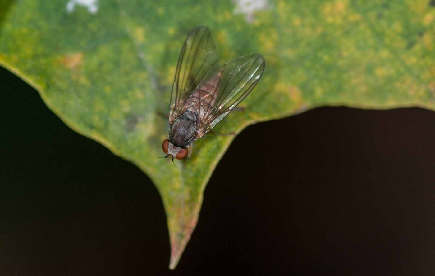 2018-11-05 - EmscherValleyWay Recklinghausen