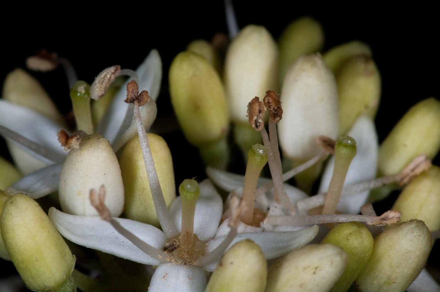 2018-11-05 - EmscherValleyWay Recklinghausen